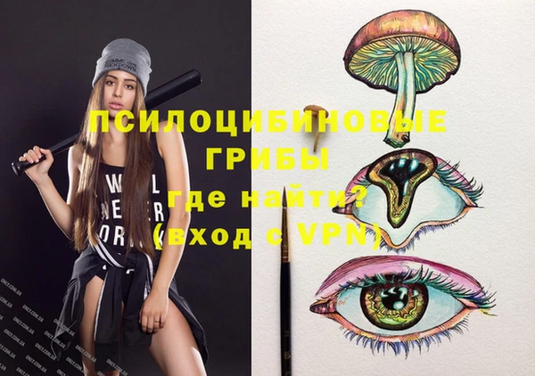 МДПВ Алексин