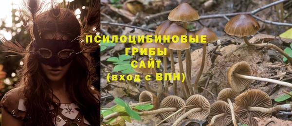 MESCALINE Арсеньев