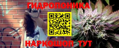 крисы Краснодар