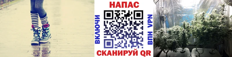 площадка формула Кинель Бошки Шишки семена ссылка на мегу как войти